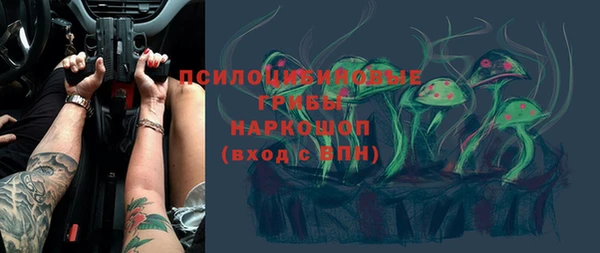 винт Арсеньев