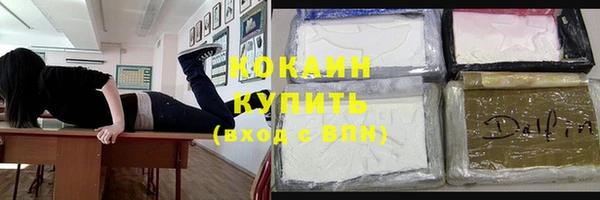 хмурый Аркадак