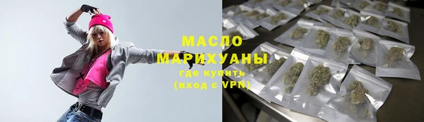 хмурый Аркадак