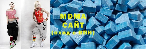хмурый Аркадак