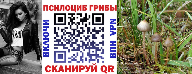 Псилоцибиновые грибы ЛСД  Пустошка 